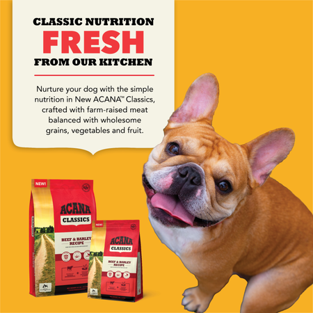 Acana french bulldog clearance